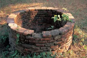 Bé gái 18 ngày tuổi bị ném xuống giếng sâu