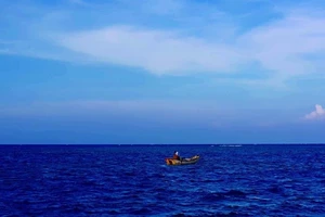 Săn 'sát thủ' trên vịnh Triều Dương