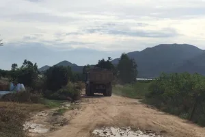 Xử lý nghiêm cán bộ 'bảo kê' khai thác cát lậu