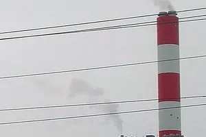 Hải sản chết bất thường gần Nhiệt điện Vĩnh Tân 4