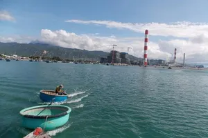 'Nguyên nhân hải sản chết tại Vĩnh Tân do mưa lớn'