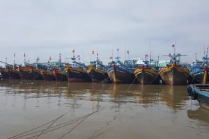 Bão số 16: Bình Thuận còn 683 tàu hoạt động trên biển 