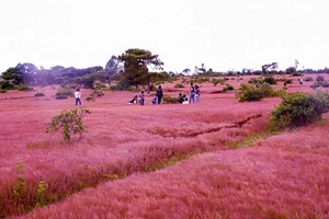 Chủ đầu tư sân golf Đắk Đoa hoạt động thua lỗ