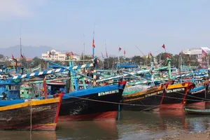 Bình Thuận cấm tàu ra biển từ 10 giờ ngày 3-1 