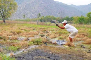 Hỗ trợ 'thiên tai' cho dân gần bãi xỉ Vĩnh Tân 