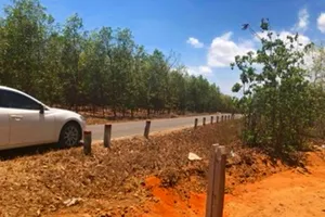 Chuyển mục đích 8.000 m2 đất chỉ nộp… 196.000 đồng!