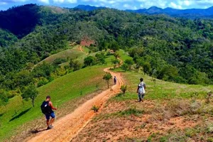 Chưa tiếp cận thi thể nghi của phượt thủ mất tích ở Tà Năng