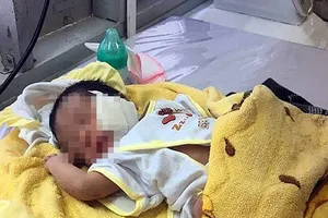 Đã tìm được người mẹ chôn con mới sinh