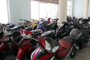 Tạm giữ 2 nghi can trong đường dây giả mạo bằng lái xe