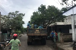 Phú Quý đã có gió to mưa lớn, nhiều cây bị quật trốc gốc