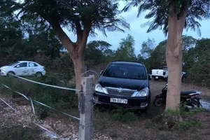 Bình Thuận: Nhiều người đi ô tô vào nghĩa địa đánh bạc