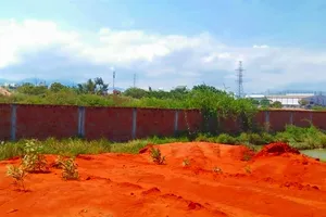 Đất đang canh tác bỗng dưng bị san lấp, chiếm giữ