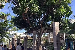 1 phụ nữ chết trong tư thế treo cổ trước nhà người tình