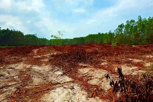 Theo dõi xử lý nghiêm nếu Alibaba vi phạm về đất đai xây dựng