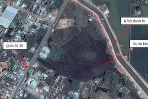 Phạt tiền hai công ty địa ốc xây dựng nhưng chưa có giấy phép