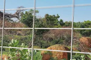 42/44 dự án nghỉ dưỡng chưa đủ điều kiện kinh doanh