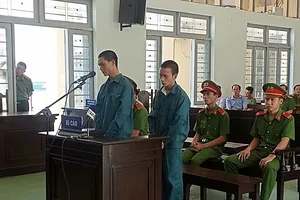 Người ném bom xăng đốt 4 xe cảnh sát rút kháng cáo tại tòa