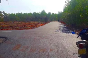 Ngưng chuyển quyền sử dụng 17 ha đất sai phạm tại Phan Thiết