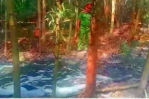 Đề nghị đóng cửa trại heo xả thải ra đầu nguồn nhà máy nước