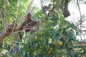 Việt kiều Mỹ hò hét, đập phá 8 giờ trên mái nhà 