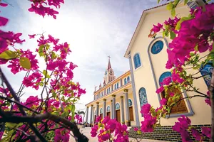 Tòa Giám mục Phan Thiết khuyến khích thánh lễ trực tuyến