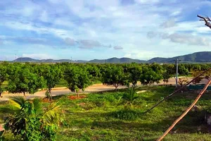 Tỉnh Bình Thuận từng yêu cầu thu hồi dự án 32 đồng/m2