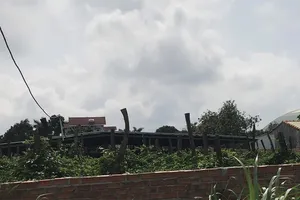 Công an điều tra việc cấp 376 m2 đất cho 1 nguyên bí thư huyện