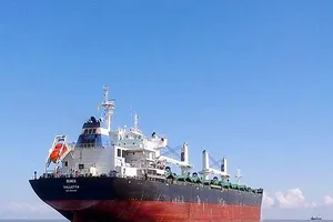 Không cho thủy thủ đoàn 23 người tàu MV Rinia lên bờ