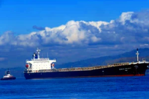 Kiểm tra y tế 14 người Trung Quốc ở Nhiệt điện Vĩnh Tân