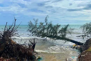 Sạt lở, xâm thực hơn 600m bờ biển ở Bình Thuận