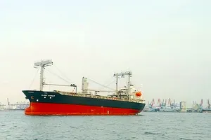 Cứu được 10 thuyền viên tàu Panama chìm gần đảo Phú Quý