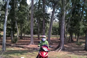 Yêu cầu Bình Thuận báo cáo các dự án đất đai có sai phạm