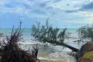 Dừng thể thao biển, tắm biển trong thời gian biển động mạnh