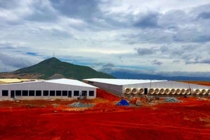 Khắc phục ô nhiễm trang trại heo khủng trên đồi cao