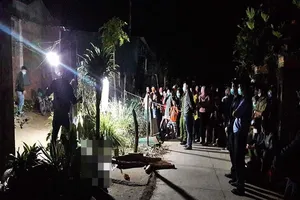 Bình Thuận: Bênh mẹ ruột, con riêng đánh chết cha dượng 