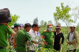 Bình Thuận: Phát hiện nhiều mẩu xương người trong rẫy mì