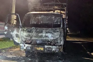 Bình Thuận xe tải đang chạy bốc cháy trên QL28