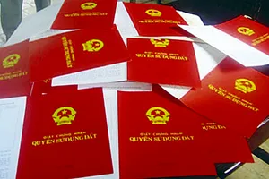 Bắt cán bộ địa chính chiếm đoạt 30ha đất của doanh nghiệp