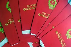 Truy tố cán bộ địa chính giao 8 sổ hồng của dân cho 'cò'