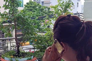 Thực hư về 'Lệnh bắt bị can để tạm giam' của Viện kiểm sát cấp cao Đà Nẵng