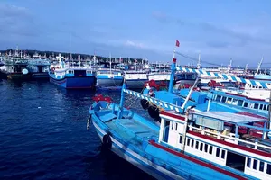 Đảo Phú Quý có 3 ca nghi nhiễm đầu tiên từ một thuyền viên