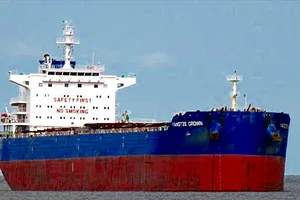 Tàu vận tải nước ngoài đâm chìm tàu cá Việt Nam