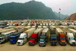 Hàng ngàn container trái cây Việt ùn ứ ở cửa khẩu Trung Quốc