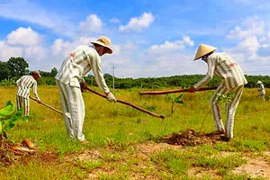 1 Đại úy cảnh sát Trại giam Z30D bị bắt vì nhục hình phạm nhân