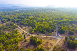 Bình Thuận xử phạt 1 doanh nghiệp hơn nửa tỉ đồng vì tự ý chuyển mục đích đất