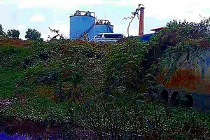 Cá chết nổi trắng trên sông Giêng giáp ranh Đồng Nai, Bình Thuận