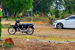 1 khu du lịch ở Bình Thuận phá rừng dương phòng hộ trái phép