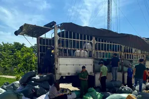 Bình Thuận: Bắt xe tải chở hàng ngàn linh kiện điện tử, đồ điện không rõ nguồn 