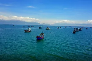 Bình Thuận tăng cường điều tra, giám sát để ngư dân đánh bắt cá đúng pháp luật