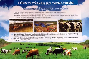 Thu hồi dự án 'trang trại kiểu mẫu' ở Bình Thuận vì đắp chiếu nhiều năm 